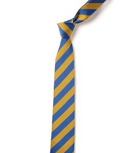 Blackridge PS Tie 45 Royal/Gold