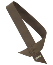 Brownies Sash