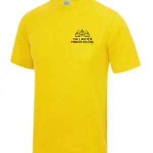 Callander Primary School Sunyellow Cool T Ledi