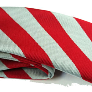 East Plean Primary School Ties REG