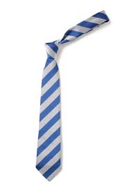 Lhanbryde Primary Tie 45 Royal/White