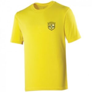 St Benedicts Primary School Cool T Sun Yellow