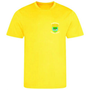 Knightswood PS PE Cool T Sun Yellow