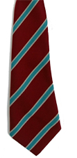 St Charles PS Tie 45