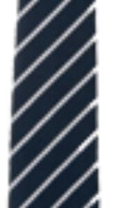 St Marys PS Larkhall Tie 39