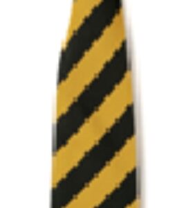 St Benedicts Primary School Elastic Tie