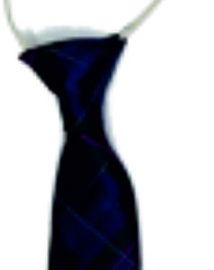 Holy Trinity PS Elasticated Tartan Tie