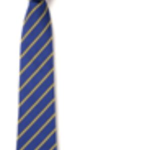 Greenhills PS Tie 39 Royal/Gold