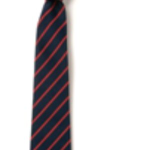 St John The Baptist Primary School Elastic Tie