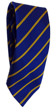 Park Primary School Tie 39