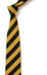 St Benedicts Primary School Long Tie