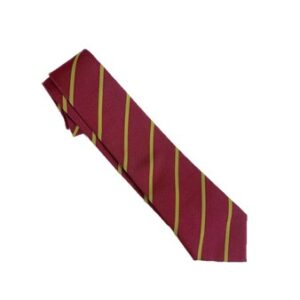 St Marthas PS Tie 45